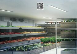 Ct Foodnex (D25), Factory #414527691